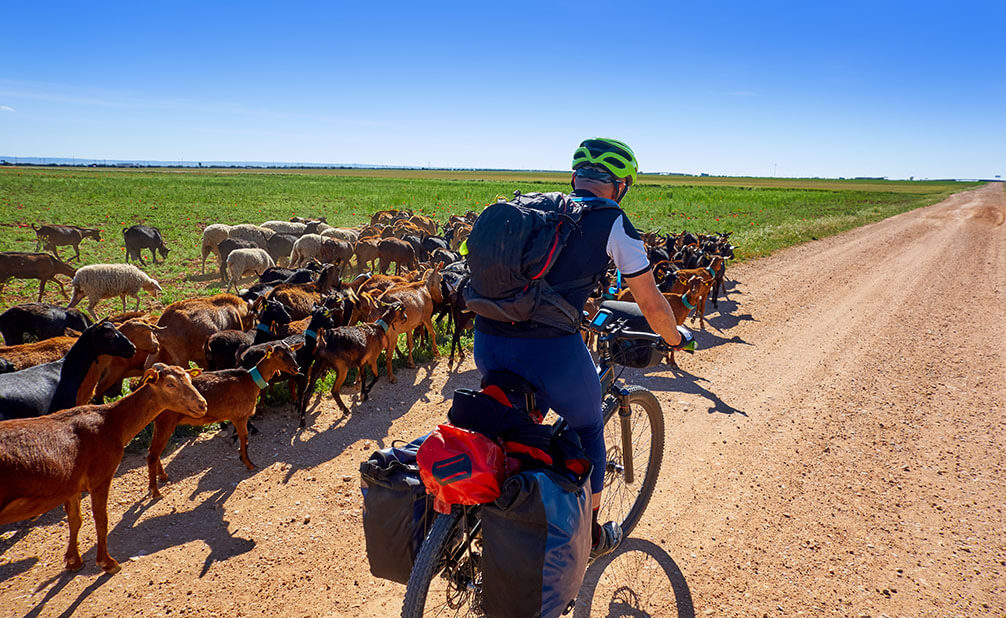 Andar de bicicleta é uma das melhores trilhas para explorar o mundo através de viagens lentas