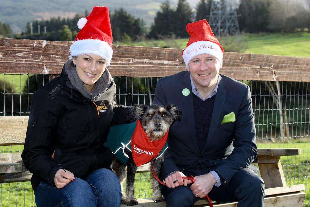 Graham Ross of Lottoland with a representative of the DSPCA wearing Christmas hats next to a formerly abandoned dog wearing a Lottoland scarf in to promote Lottoland's Win-Win Charity Lotto