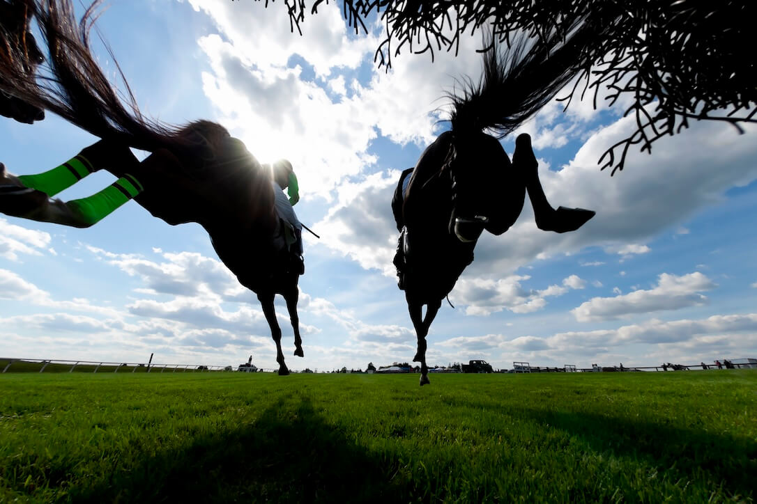 How To Bet on Horse Racing Learn how to bet on horse racing before placing a bet on these two horses jumping over a fence.