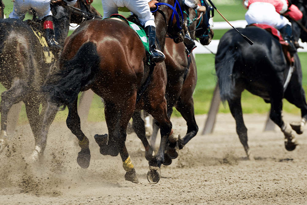 Horse Racing Lottoland Horses Racing